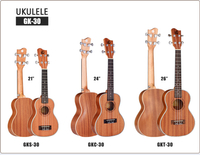 Hot Sale 4 String Nylon Ukulele Kit