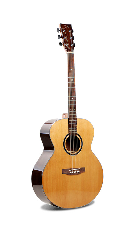 W-MDS-42J Jumbo Body Acoustic Guitar 41inch Solid Wood Guitar
