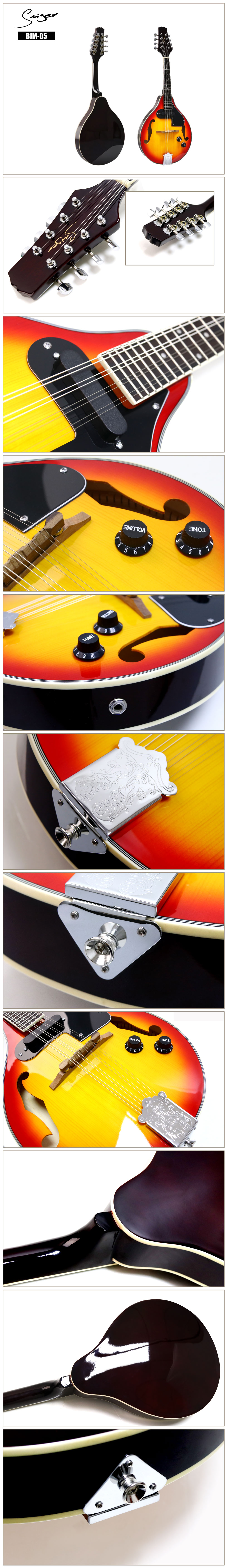 BJM-05-Mandolina El&eacute;ctrica Ac&uacute;stica .jpg