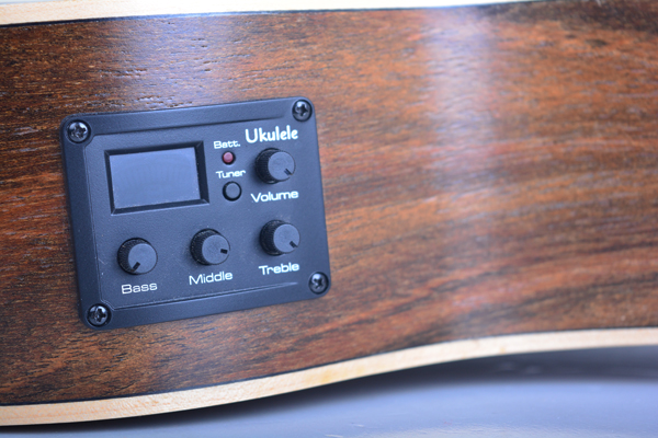 UBS-02 Acoustic Electric UBASS Bocote Wood